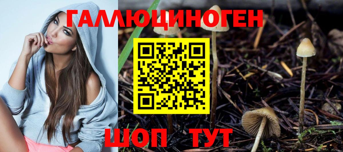 ГАШ Омск