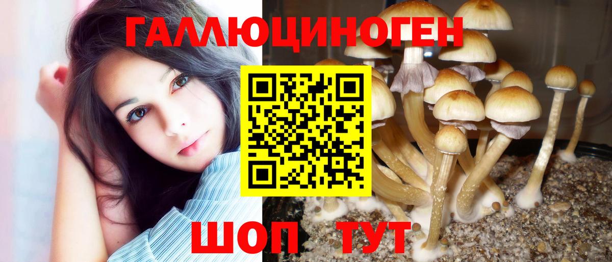 Галлюциногенные грибы GOLDEN TEACHER  Вход с VPN  Галлюциногенные грибы прущие грибы  Омск 